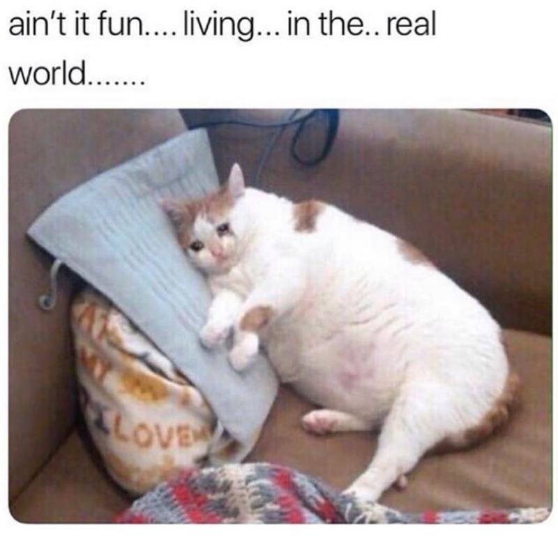 ain't it fun.... living... in the.. real world....... LOVE