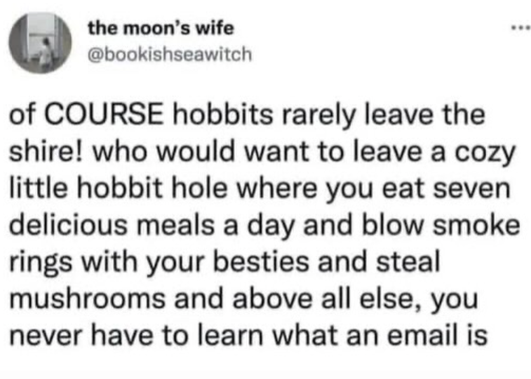 the moon's wife @bookishseawitch of COURSE hobbits rarely leave the shire! who would want to leave a cozy little hobbit hole where you eat seven delicious meals a day and blow smoke rings with your besties and steal mushrooms and above all else, you never have to learn what an email is