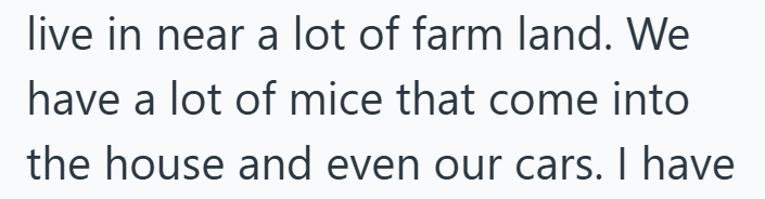 live in near a lot of farm land. We have a lot of mice that come into the house and even our cars. I have