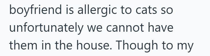 boyfriend is allergic to cats so unfortunately we cannot have them in the house. Though to my