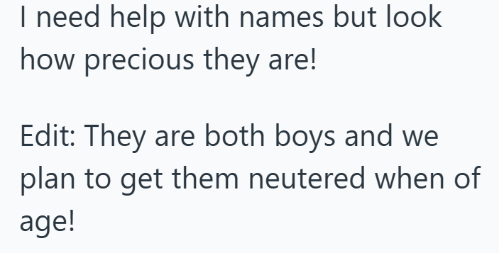 I need help with names but look how precious they are! Edit: They are both boys and we plan to get them neutered when of age!