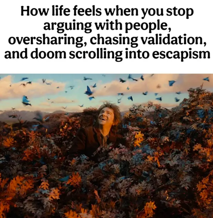How life feels when you stop arguing with people, oversharing, chasing validation, and doom scrolling into escapism