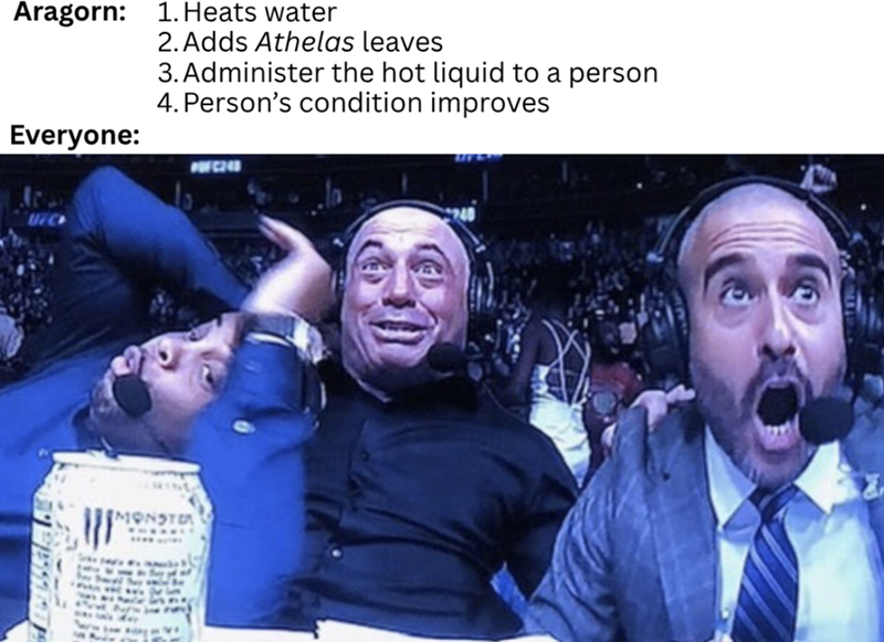 Aragorn: 1. Heats water 2. Adds Athelas leaves 3. Administer the hot liquid to a person 4. Person's condition improves Everyone: CONSTA POFC240