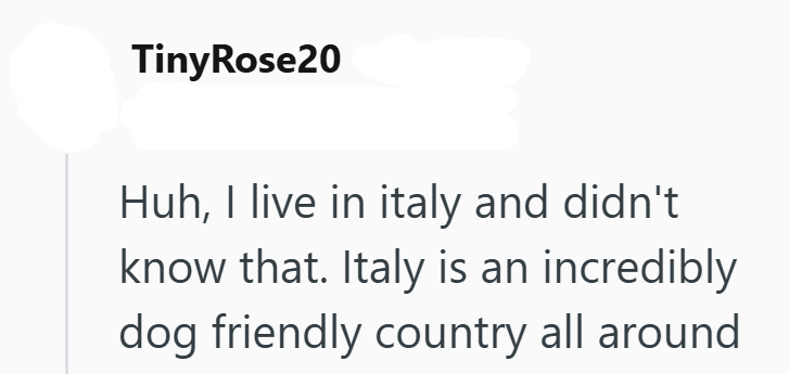 Tiny Rose20 Huh, I live in italy and didn't know that. Italy is an incredibly dog friendly country all around