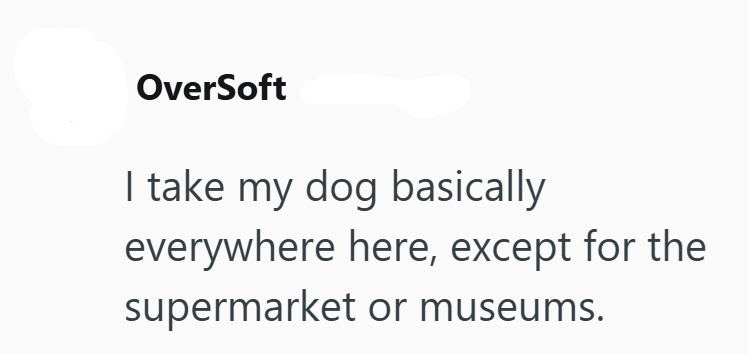OverSoft I take my dog basically everywhere here, except for the supermarket or museums.