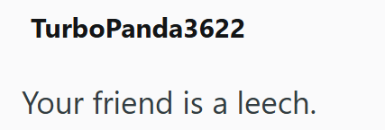 TurboPanda3622 Your friend is a leech.