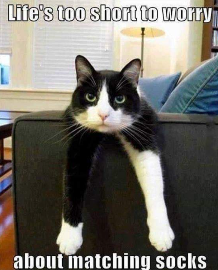 Life's too short to worry about matching socks