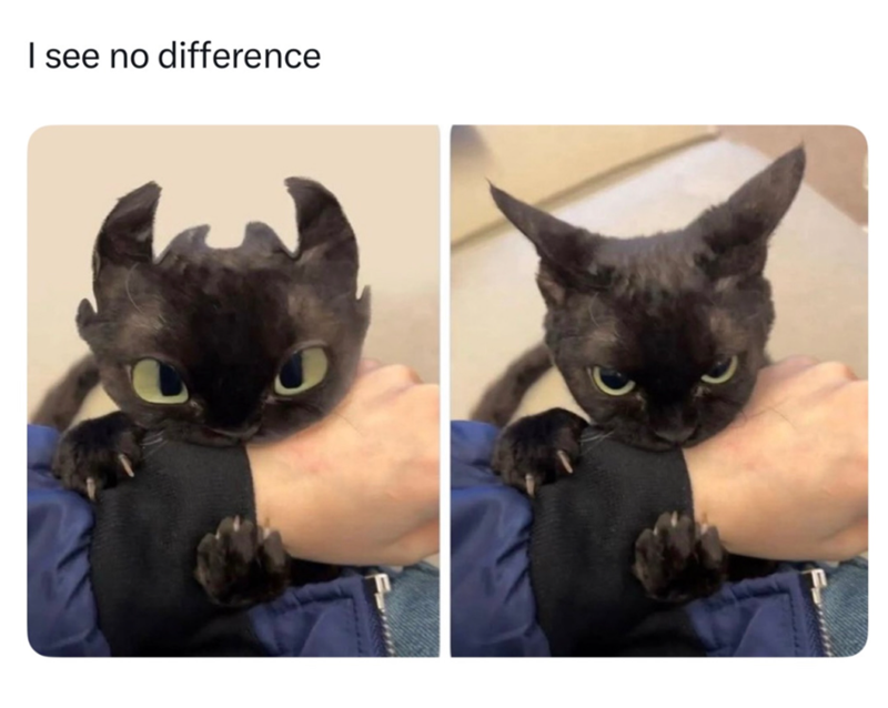I see no difference