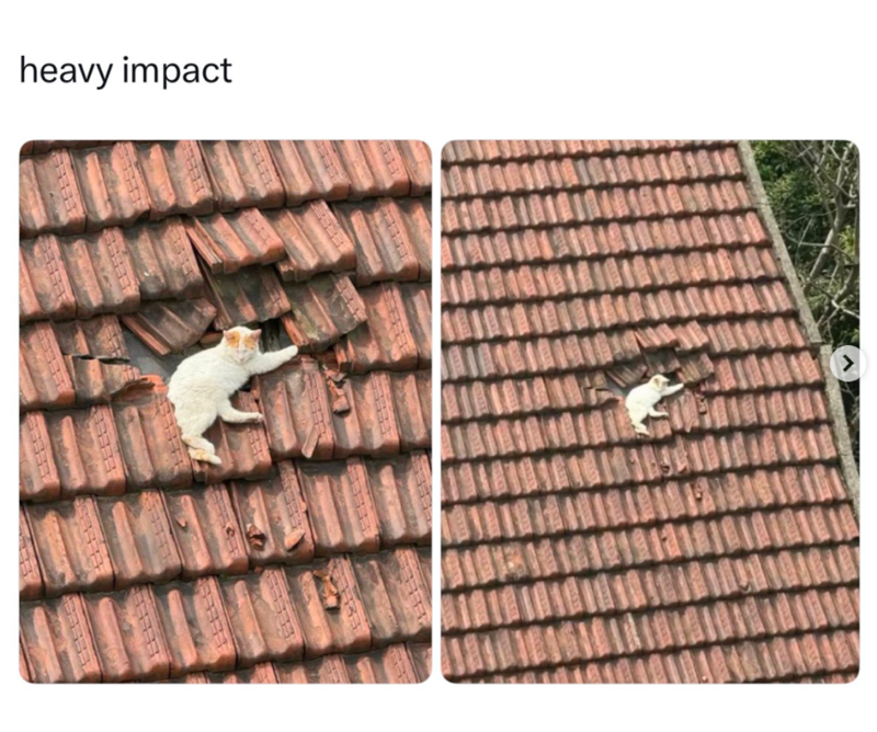 heavy impact PRE >