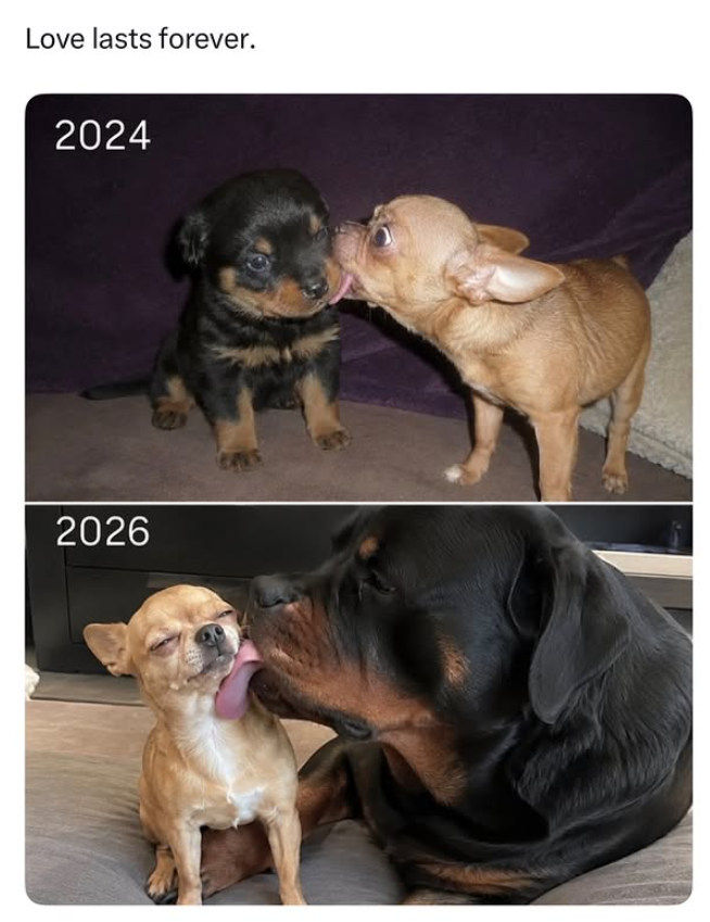 Love lasts forever. 2024 2026