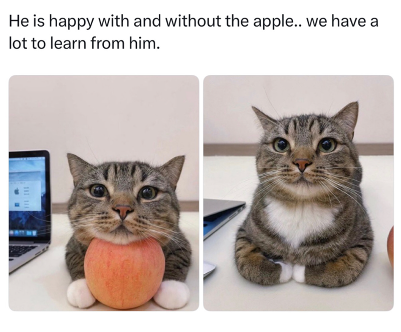 we have a He is happy with and without the apple.. lot to learn from him. 111 111