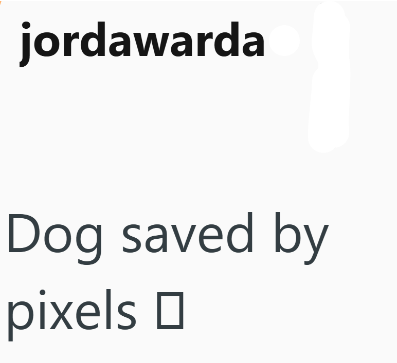 jordawarda Dog saved by pixels ☐