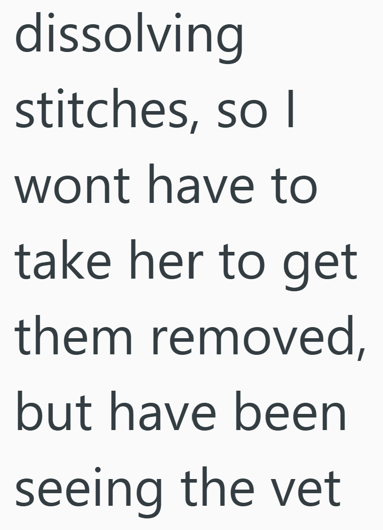 dissolving stitches, so I wont have to take her to get them removed, but have been seeing the vet