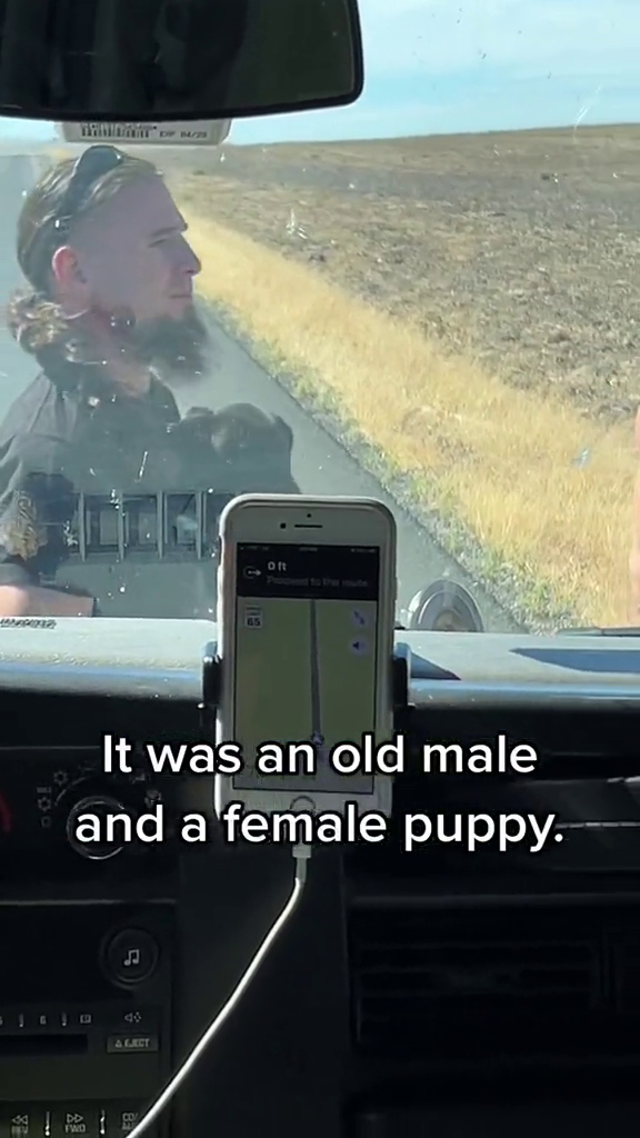 Oft Procent to the mute It was an old male and a female puppy. 140 A EJJECT