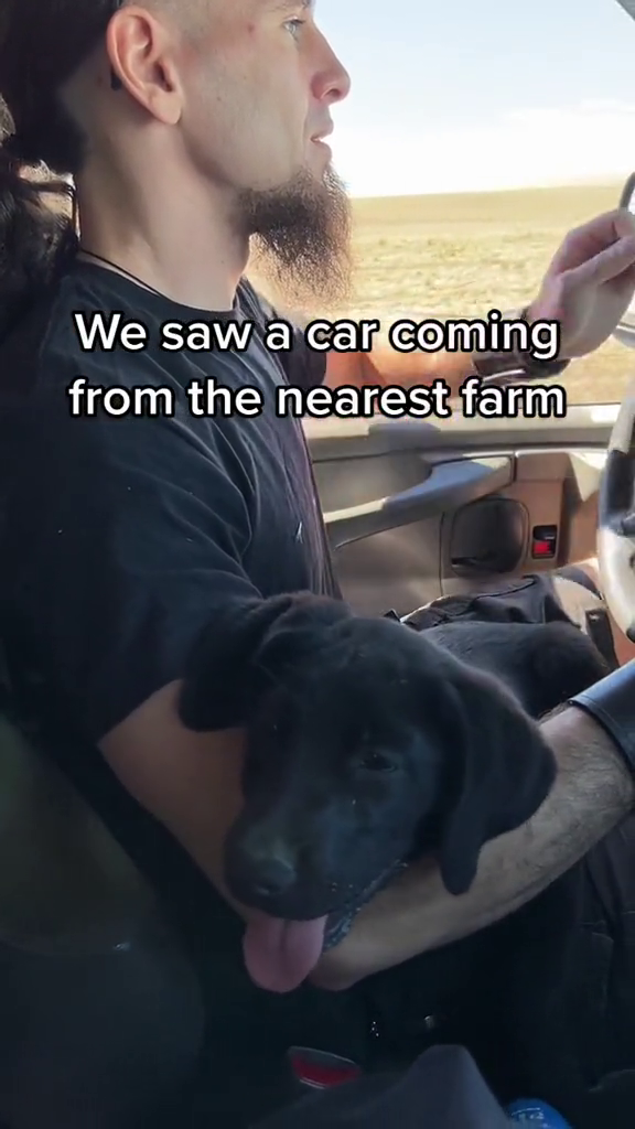 We saw a car coming from the nearest farm