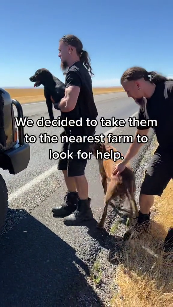 We decided to take them to the nearest farm to look for help.
