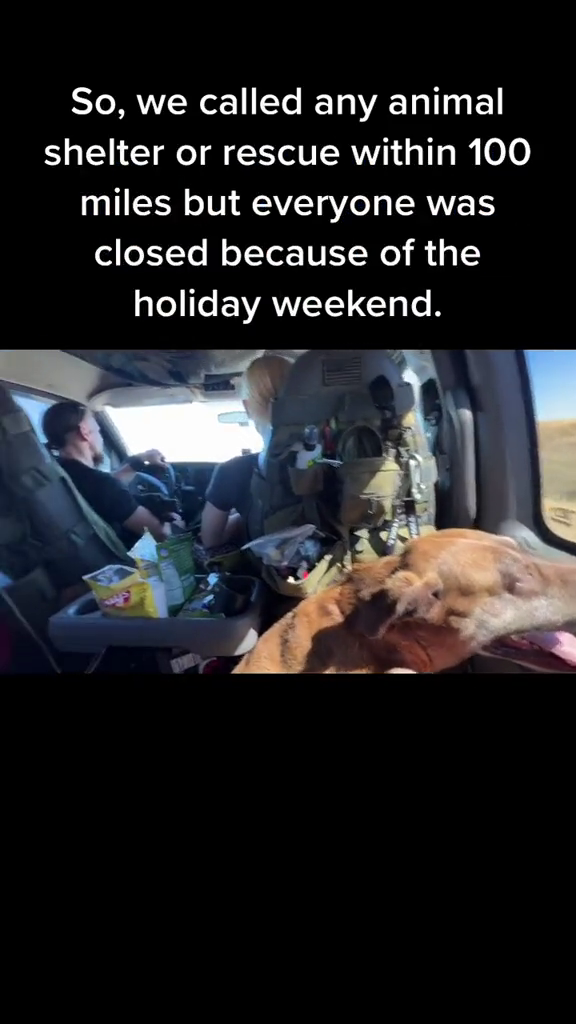 So, we called any animal shelter or rescue within 100 miles but everyone was closed because of the holiday weekend.