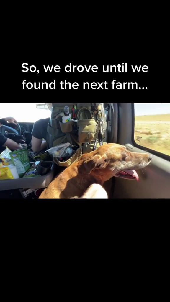 So, we drove until we found the next farm...