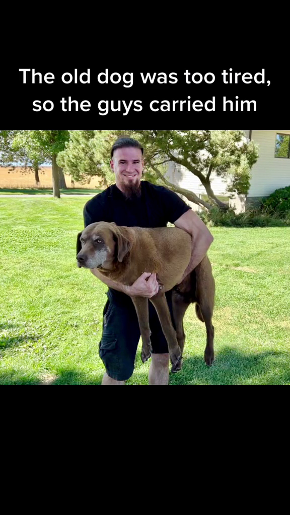 The old dog was too tired, so the guys carried him
