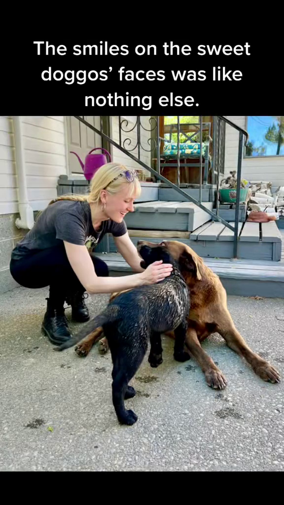 The smiles on the sweet doggos' faces was like nothing else.