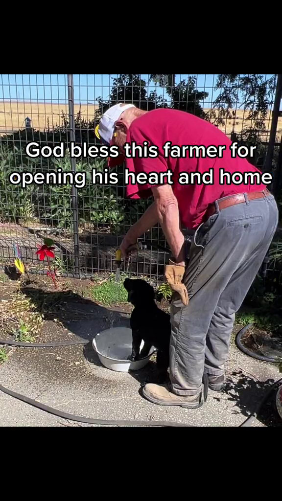 God bless this farmer for opening his heart and home