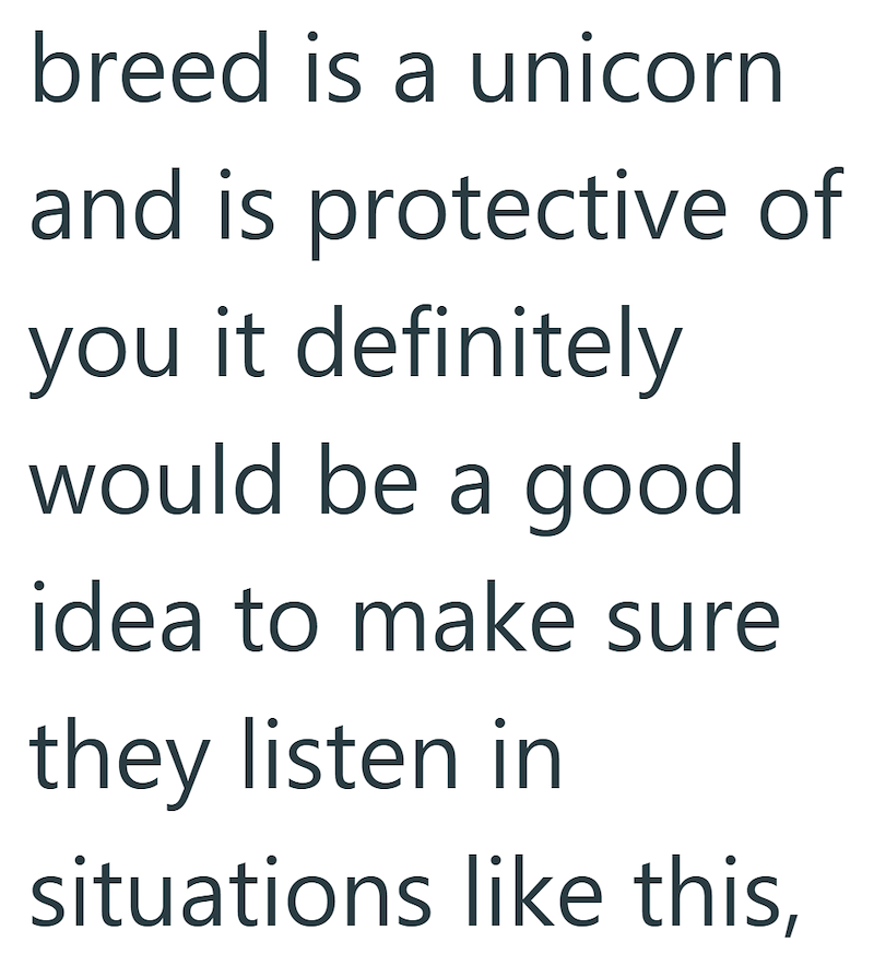 breed is a unicorn and is protective of you it definitely would be a good idea to make sure they listen in situations like this,