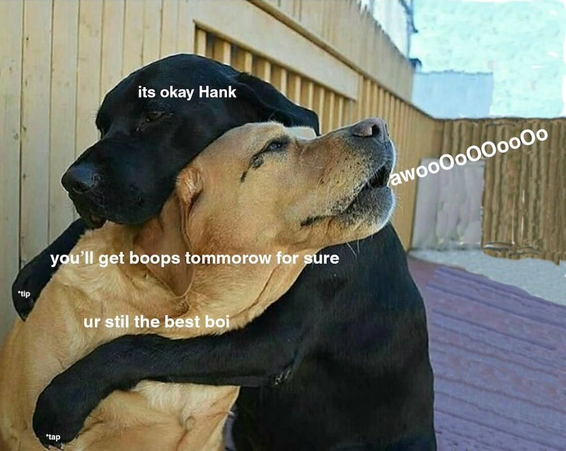 its okay Hank you'll get boops tommorow for sure tip ur stil the best boi *tap awoo0o00oo00