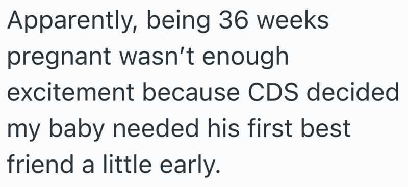 Apparently, being 36 weeks pregnant wasn't enough excitement because CDS decided my baby needed his first best friend a little early.