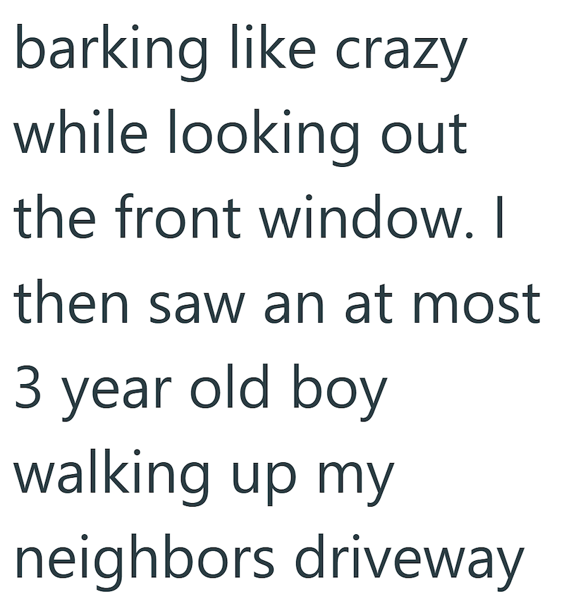barking like crazy while looking out the front window. I then saw an at most 3 year old boy walking up my neighbors driveway
