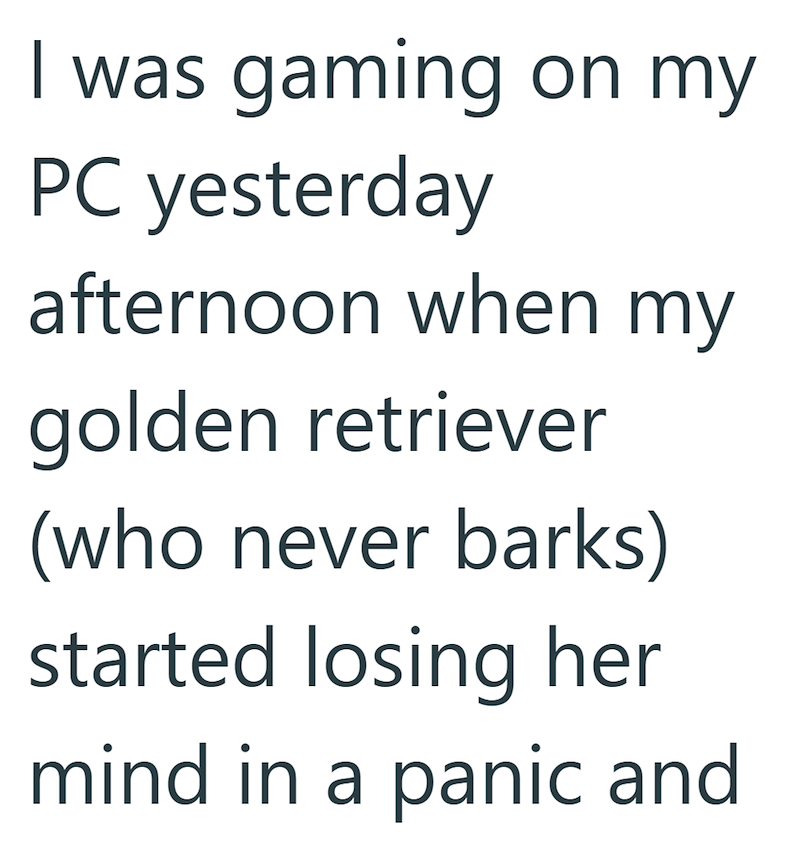 I was gaming on my PC yesterday afternoon when my golden retriever (who never barks) started losing her mind in a panic and