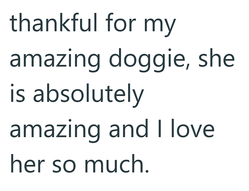 thankful for my amazing doggie, she is absolutely amazing and I love her so much.