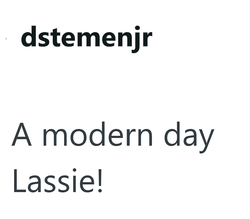 dstemenjr A modern day Lassie!