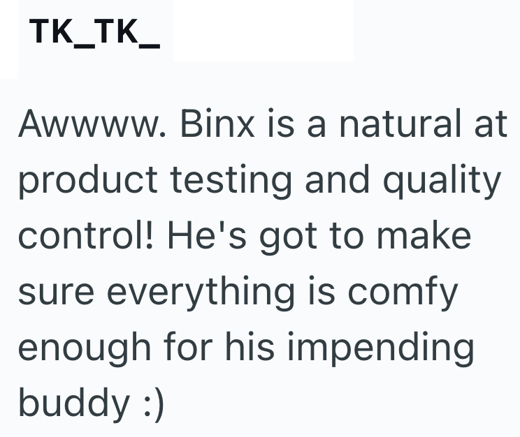 TK_TK_ Awwww. Binx is a natural at product testing and quality control! He's got to make sure everything is comfy enough for his impending buddy :)