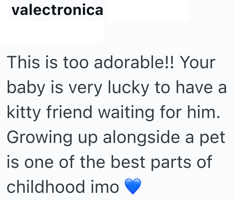 valectronica This is too adorable!! Your baby is very lucky to have a kitty friend waiting for him. Growing up alongside a pet is one of the best parts of childhood imo