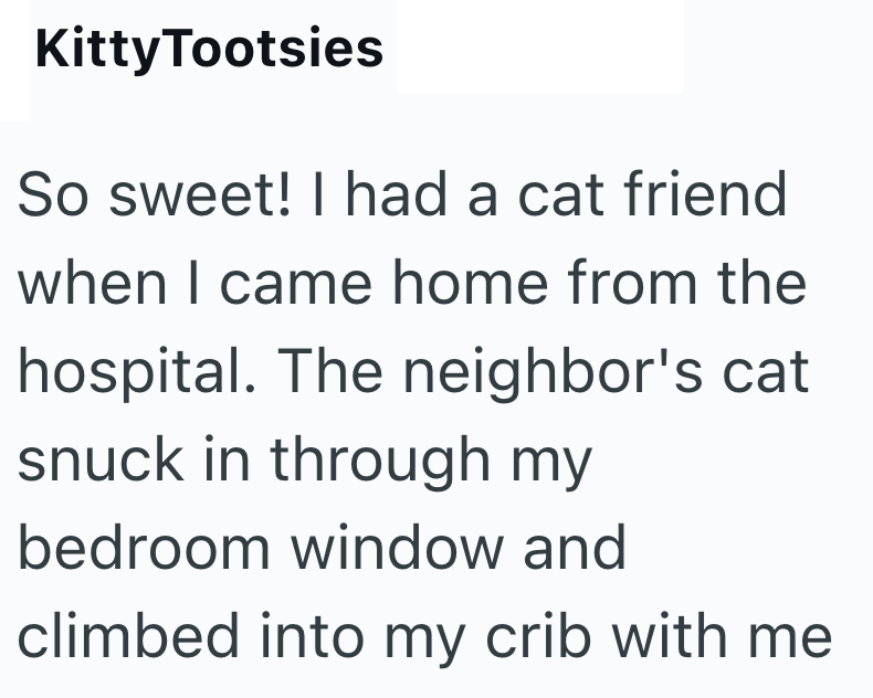 Kitty Tootsies So sweet! I had a cat friend when I came home from the hospital. The neighbor's cat snuck in through my bedroom window and climbed into my crib with me