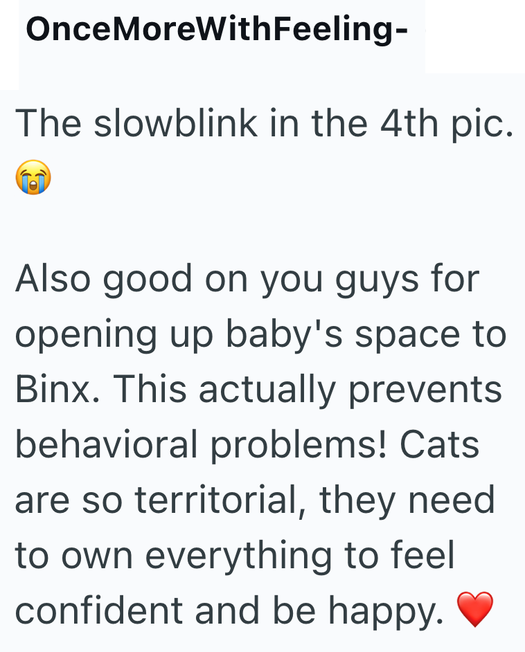 Once MoreWithFeeling- The slowblink in the 4th pic. Also good on you guys for opening up baby's space to Binx. This actually prevents behavioral problems! Cats are so territorial, they need to own everything to feel confident and be happy.