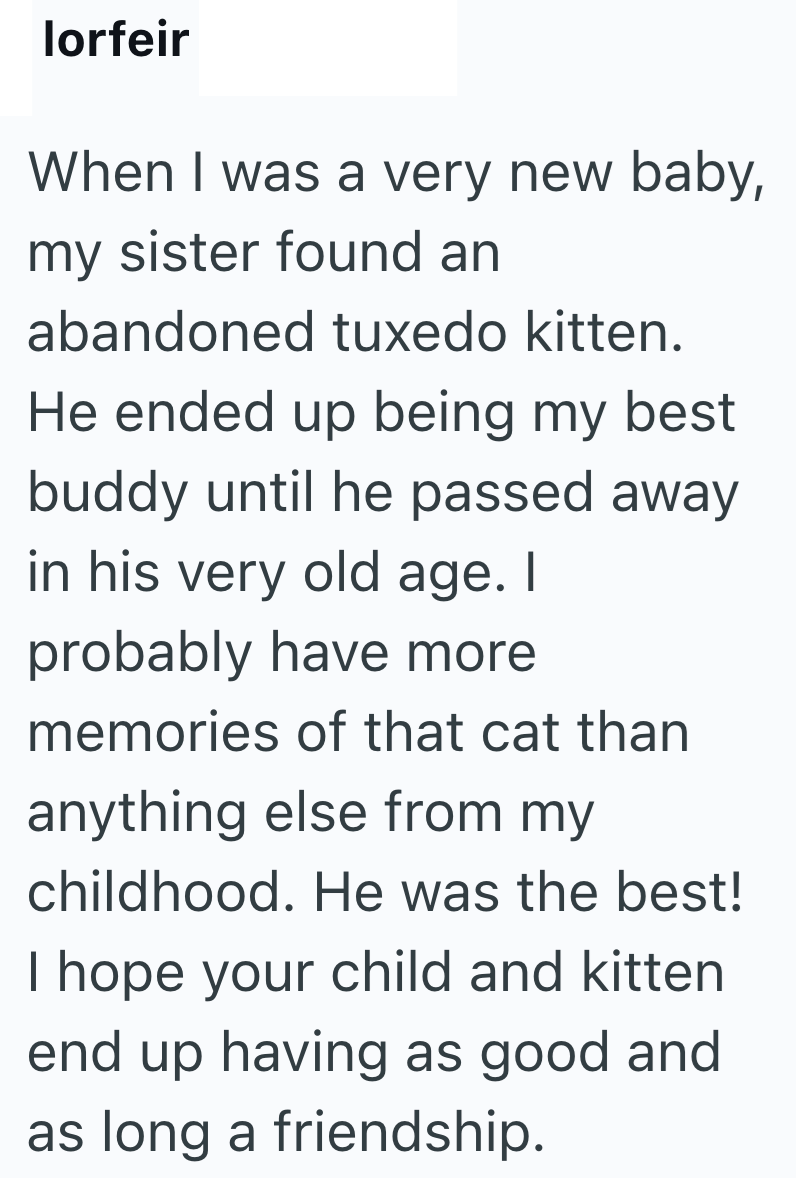 lorfeir When I was a very new baby, my sister found an abandoned tuxedo kitten. He ended up being my best buddy until he passed away in his very old age. I probably have more memories of that cat than anything else from my childhood. He was the best! I hope your child and kitten end up having as good and as long a friendship.