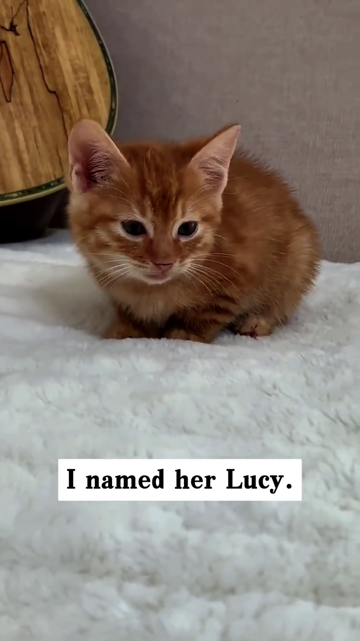 I named her Lucy.