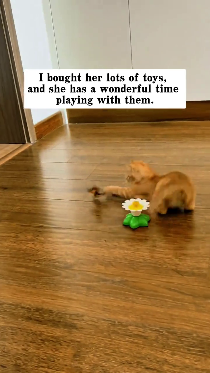 I bought her lots of toys, and she has a wonderful time playing with them.