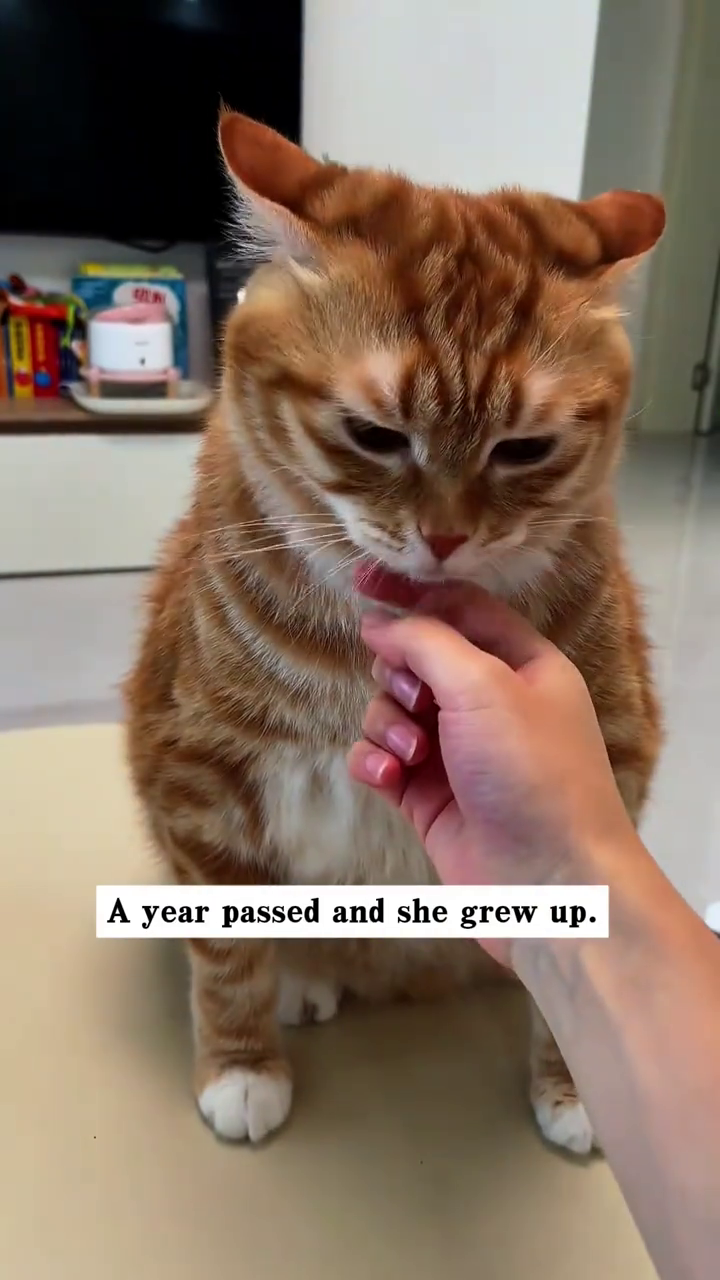 A year passed and she grew up.