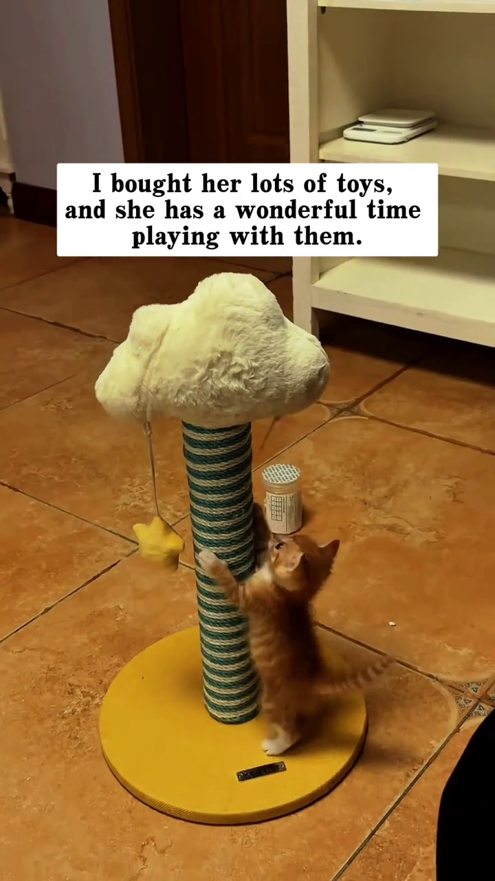 I bought her lots of toys, and she has a wonderful time playing with them.