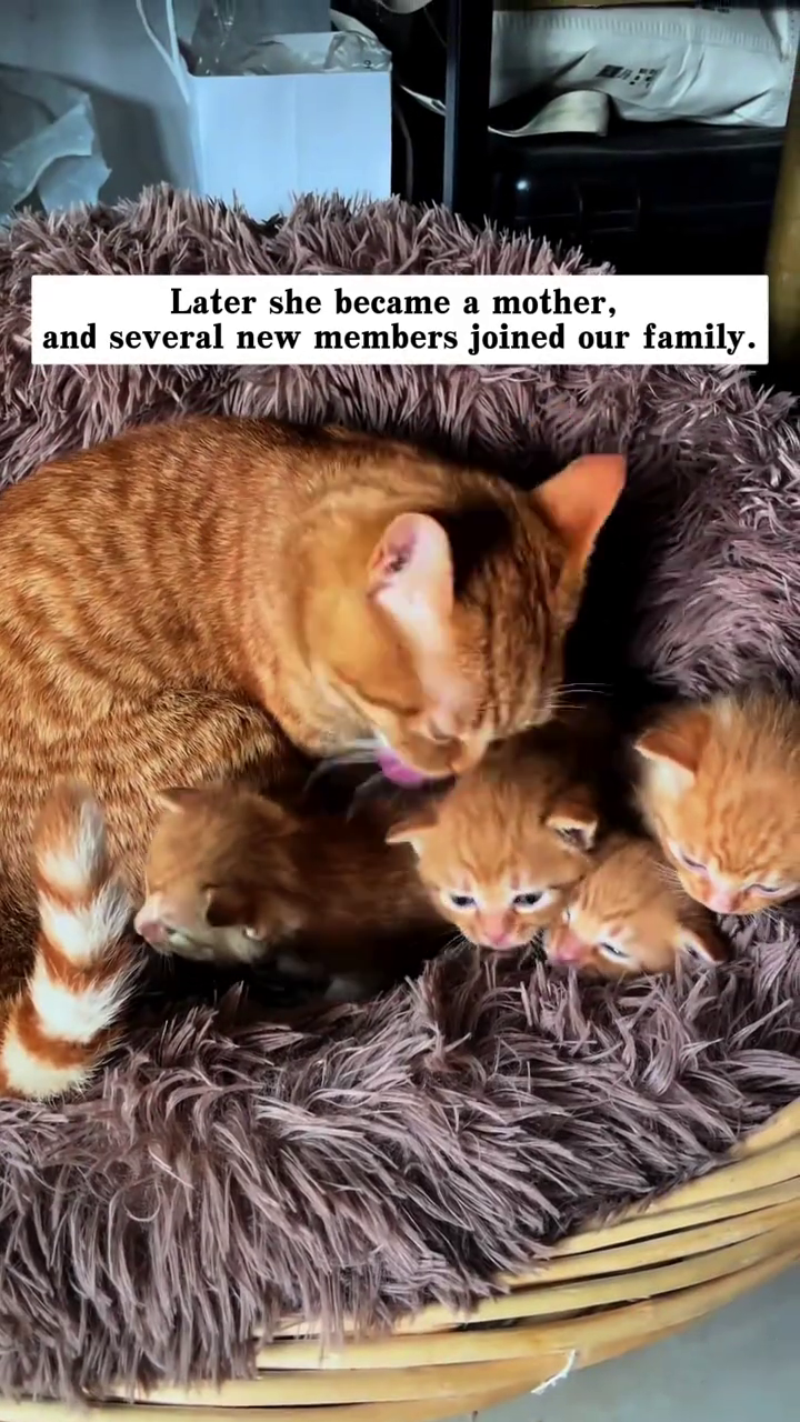 Later she became a mother, and several new members joined our family.