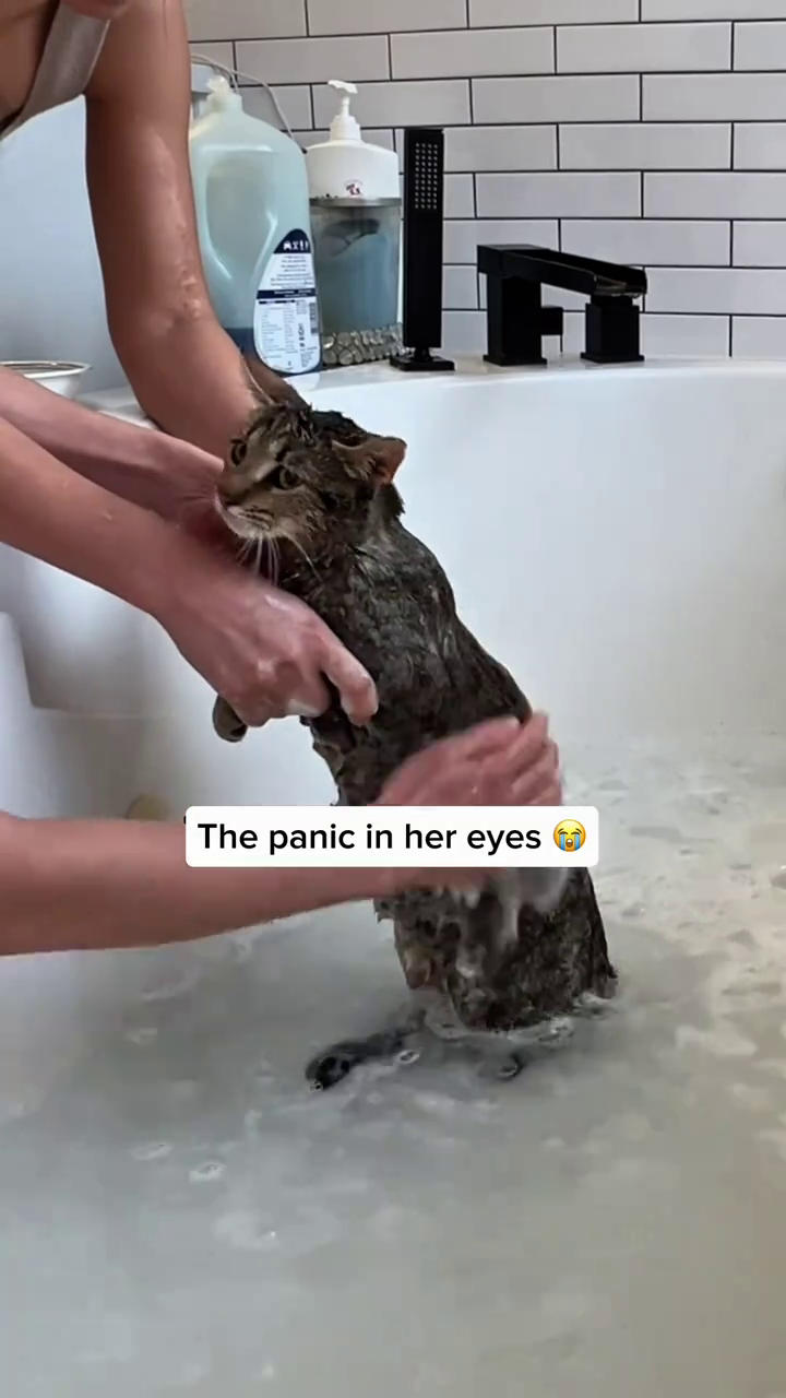 AXI The panic in her eyes