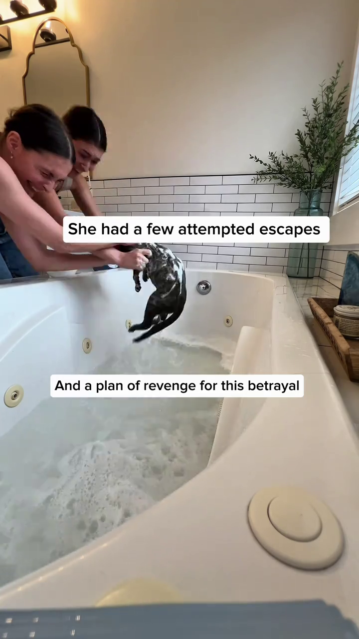 She had a few attempted escapes And a plan of revenge for this betrayal C