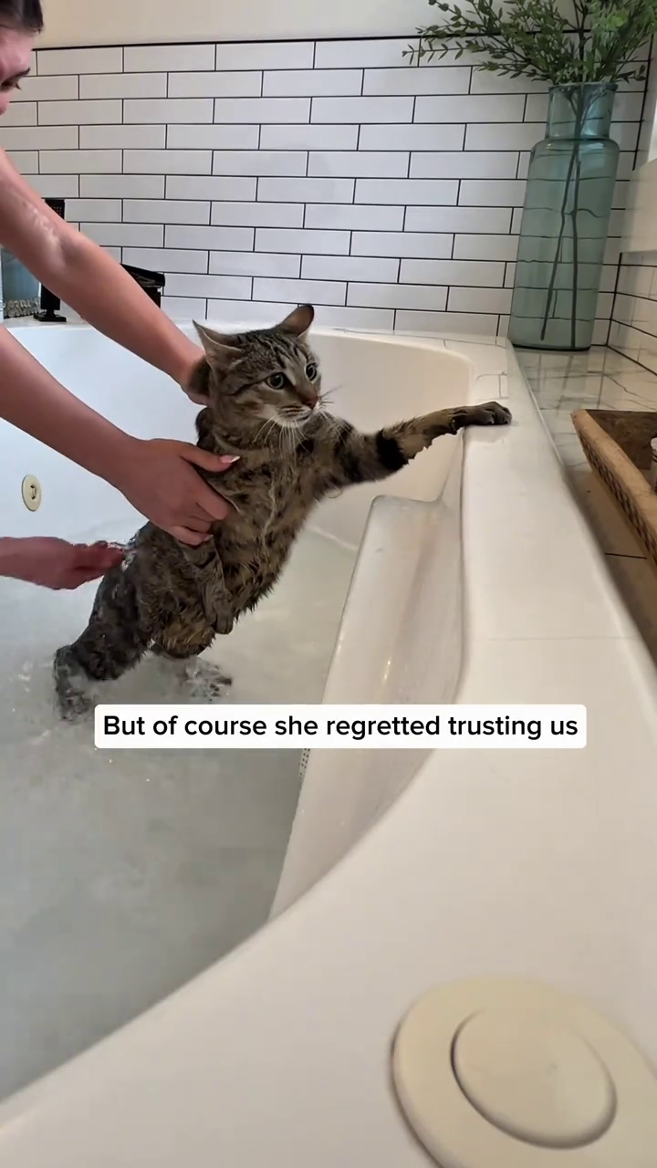But of course she regretted trusting us C