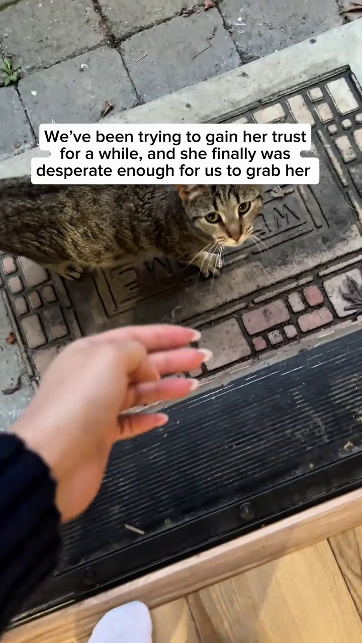 We've been trying to gain her trust for a while, and she finally was desperate enough for us to grab her