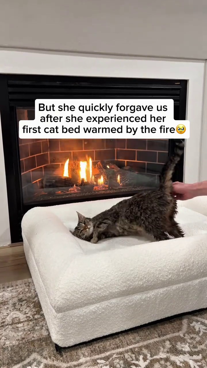 But she quickly forgave us after she experienced her first cat bed warmed by the fire
