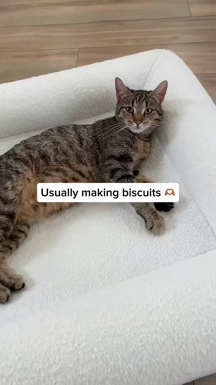 Usually making biscuits