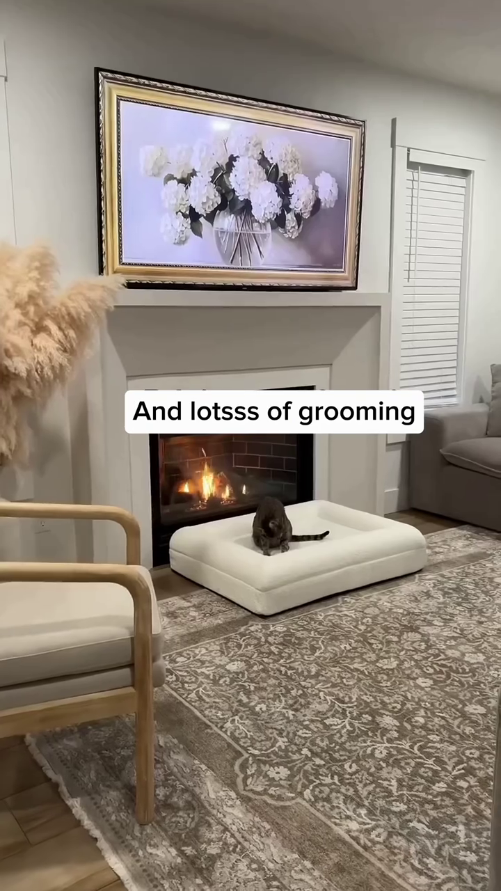 And lotsss of grooming