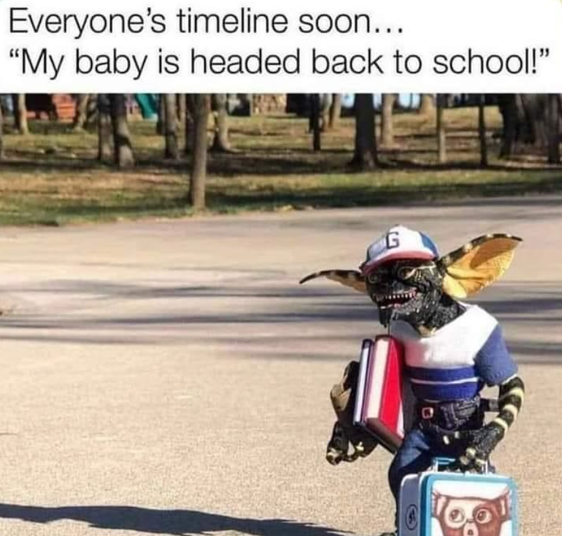 Everyone's timeline soon... "My baby is headed back to school!" G